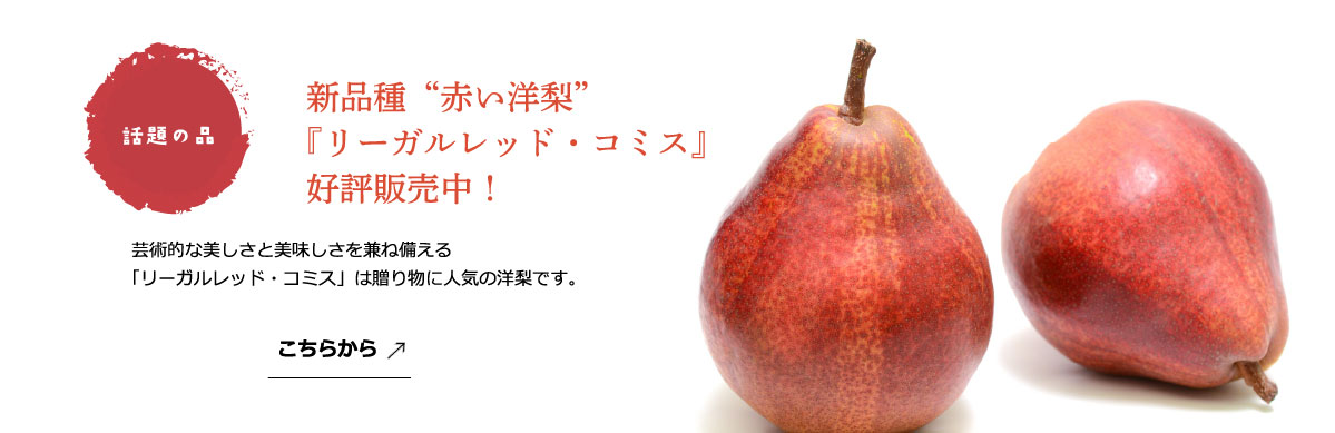 リーガルレット・コミス