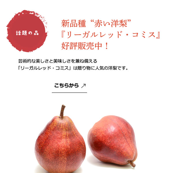 リーガルレット・コミス